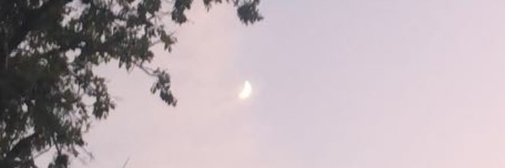 kyndallm7's profile banner image