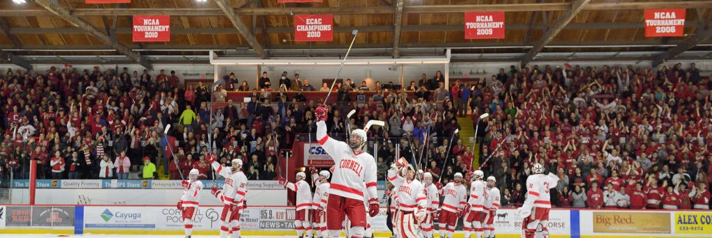 Cornell Hockey Association banner