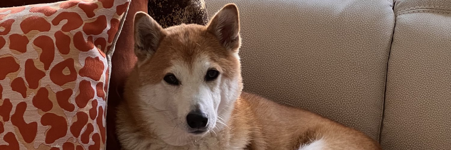 Walner Puentes banner