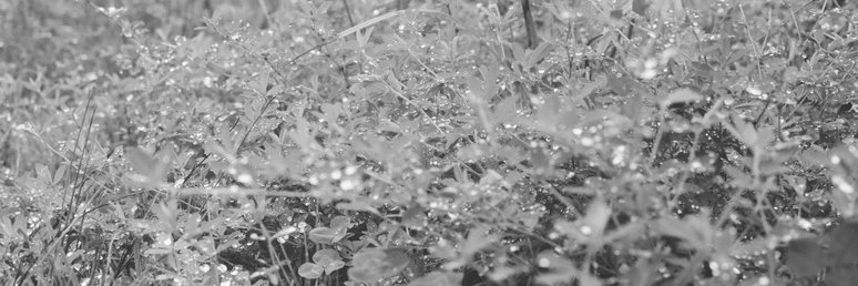 ya_K_un's profile banner image