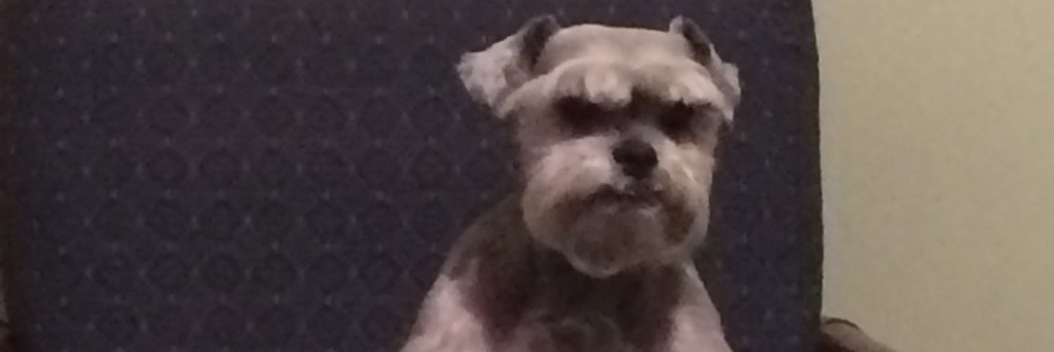 monymend's profile banner image