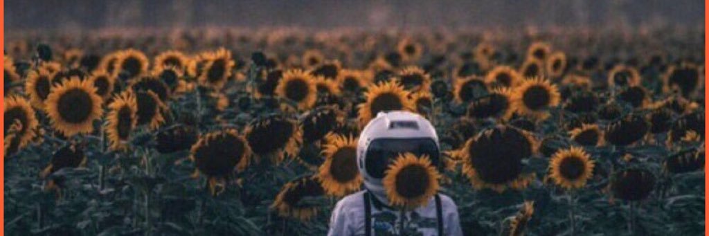 so_euphoric's profile banner image