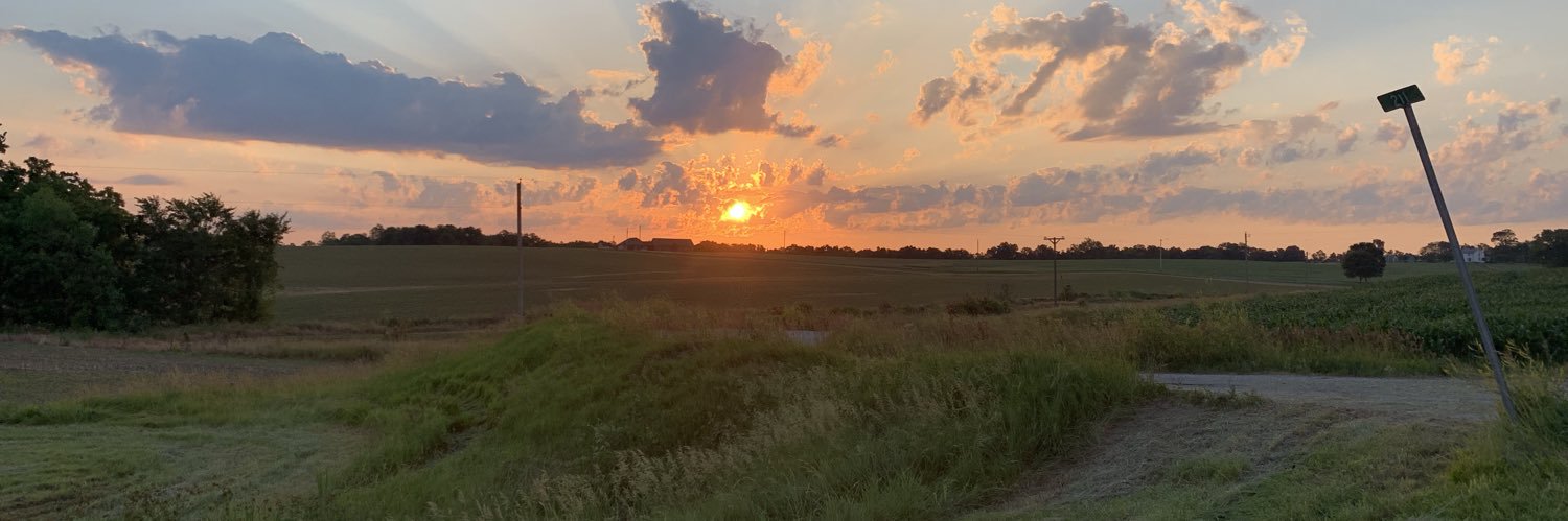 mollyyreynolds's profile banner image