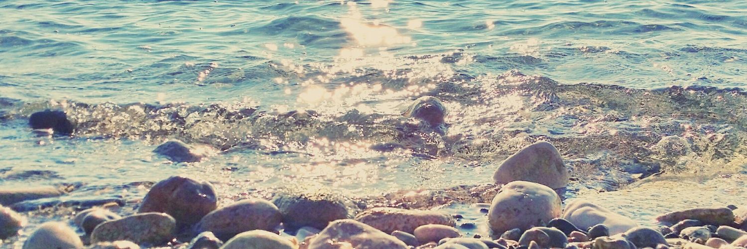 Asmaa_Amir's profile banner image