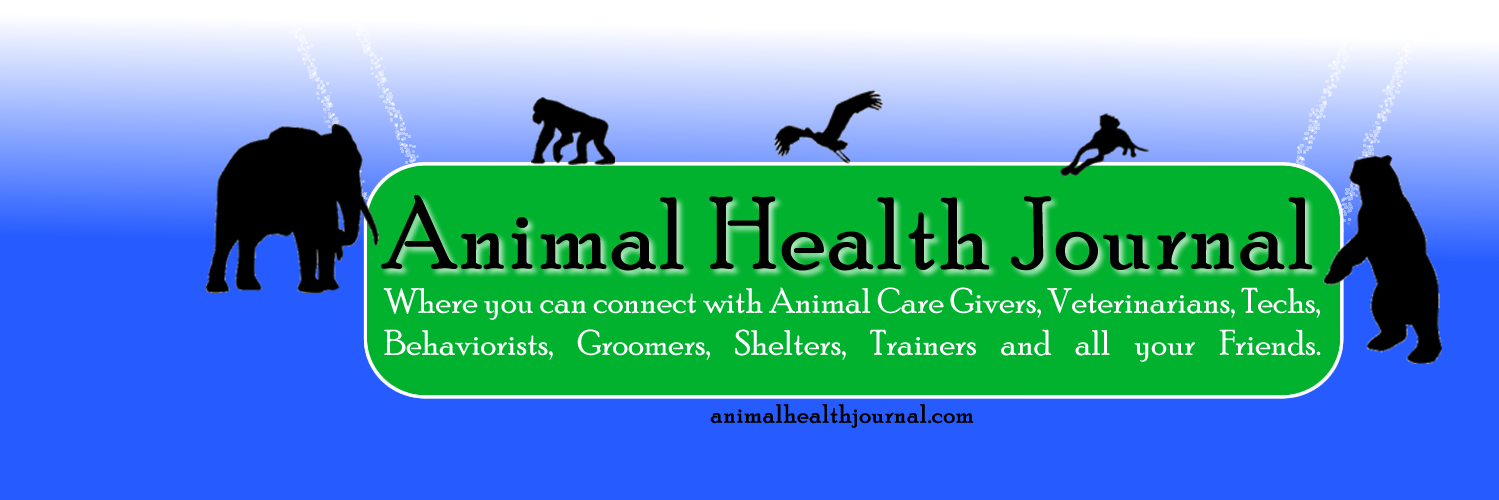Animal_Journal's profile banner image