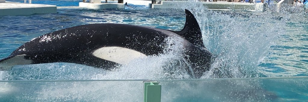 みつぎ@お取引用 banner