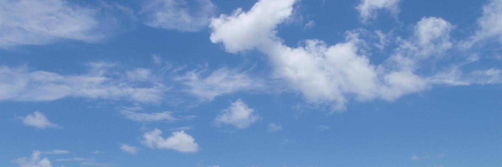 EdWhitePTA's profile banner image