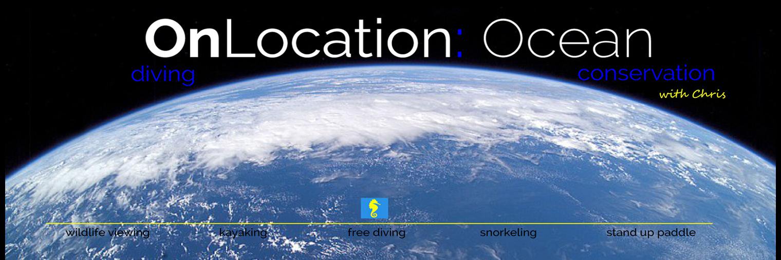 OnLocationOcean's profile banner image