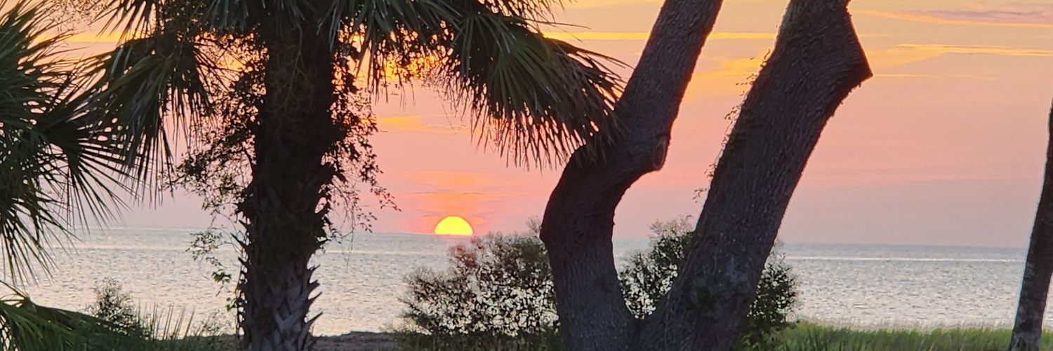 tbuhl's profile banner image