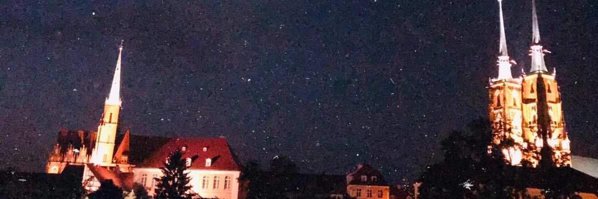 mariatomls's profile banner image