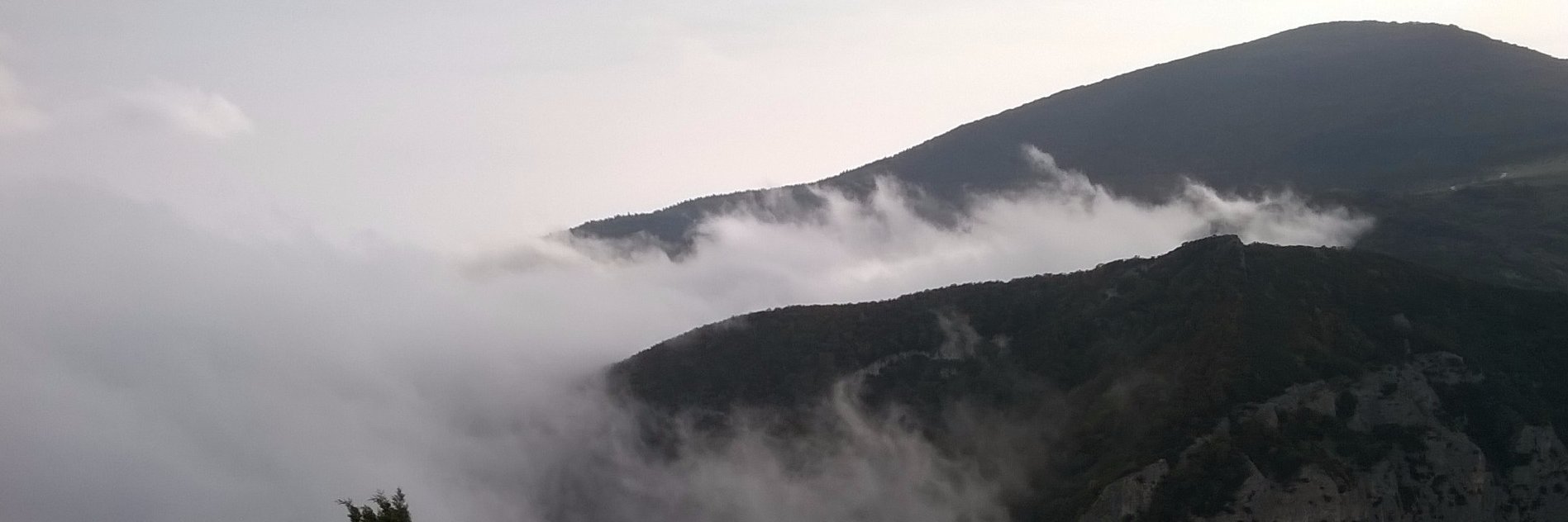 Fiammetta Paloschi banner