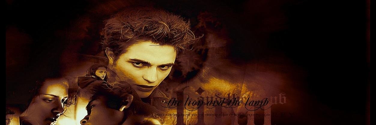 fostarasys's profile banner image