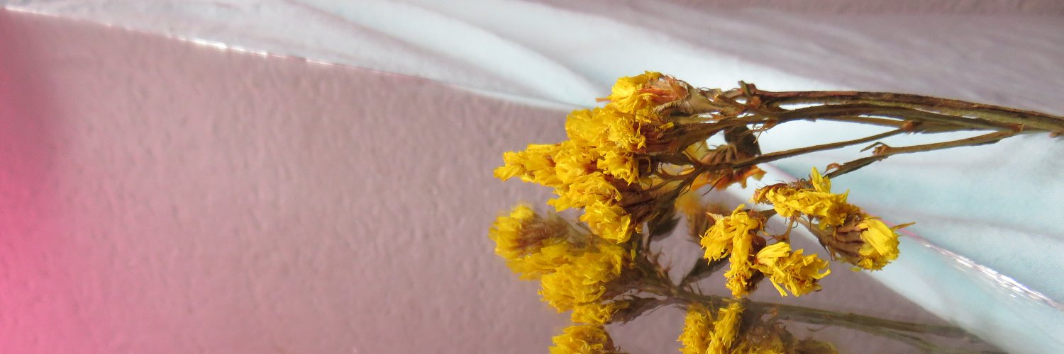 pieserrantes_'s profile banner image
