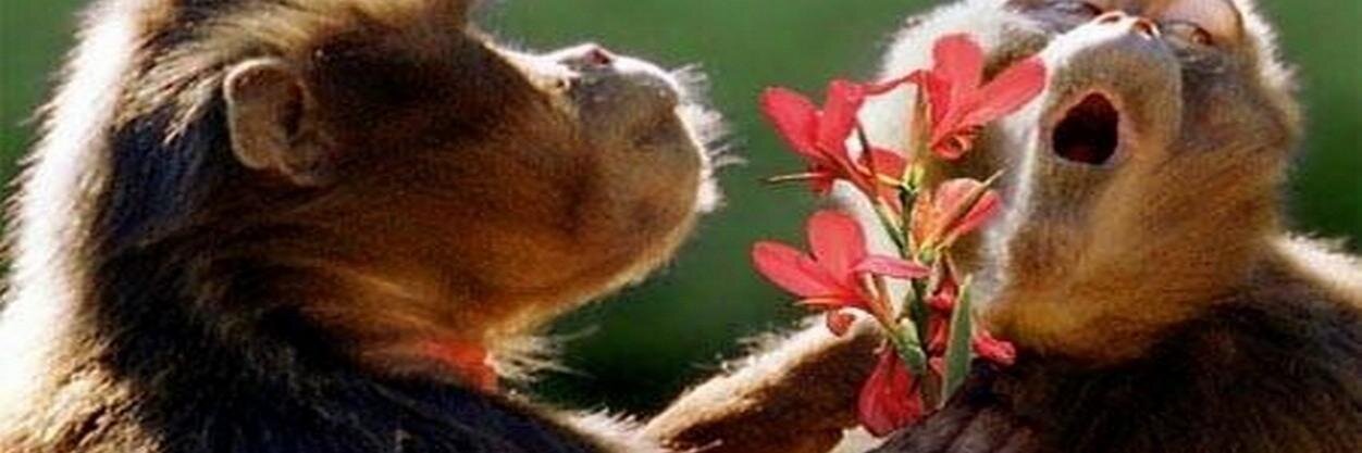 lauthumbnetde's profile banner image