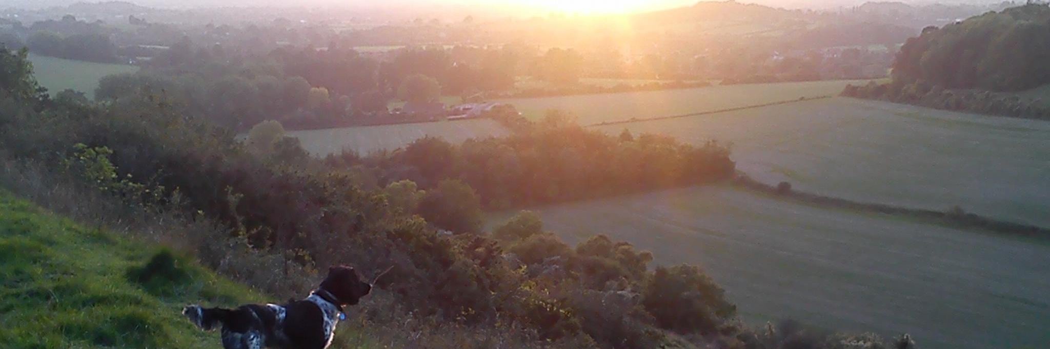 nadsorobson's profile banner image