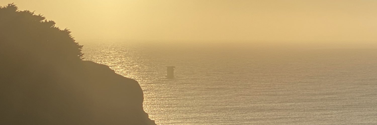 sanelly's profile banner image