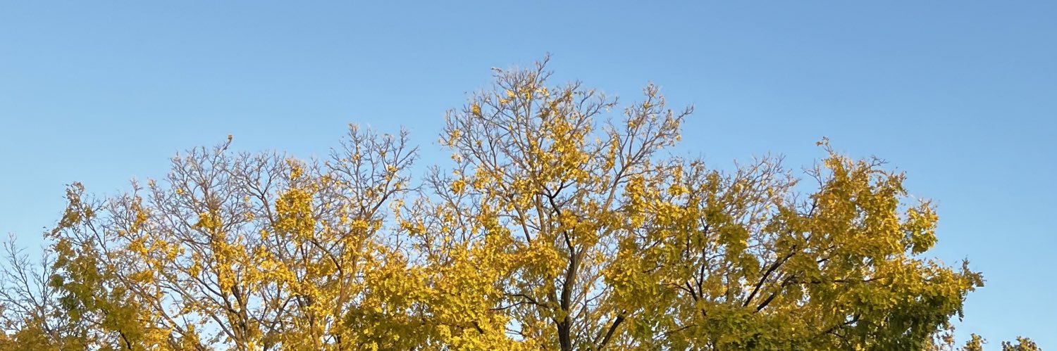 lustfuIsivan's profile banner image