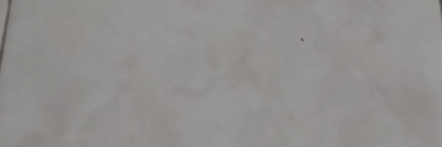 MaraSurya's profile banner image