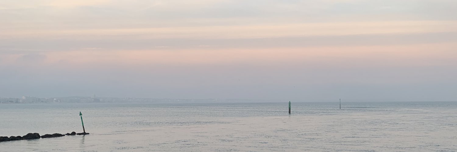 lenaaudoin's profile banner image