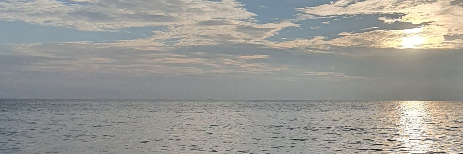 sunfollowerme's profile banner image