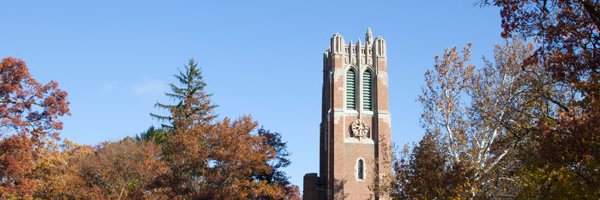 tewolfe's profile banner image