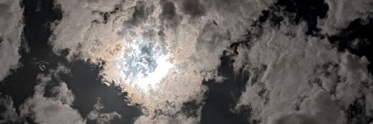 الشّريف يحيـى الأميـن banner