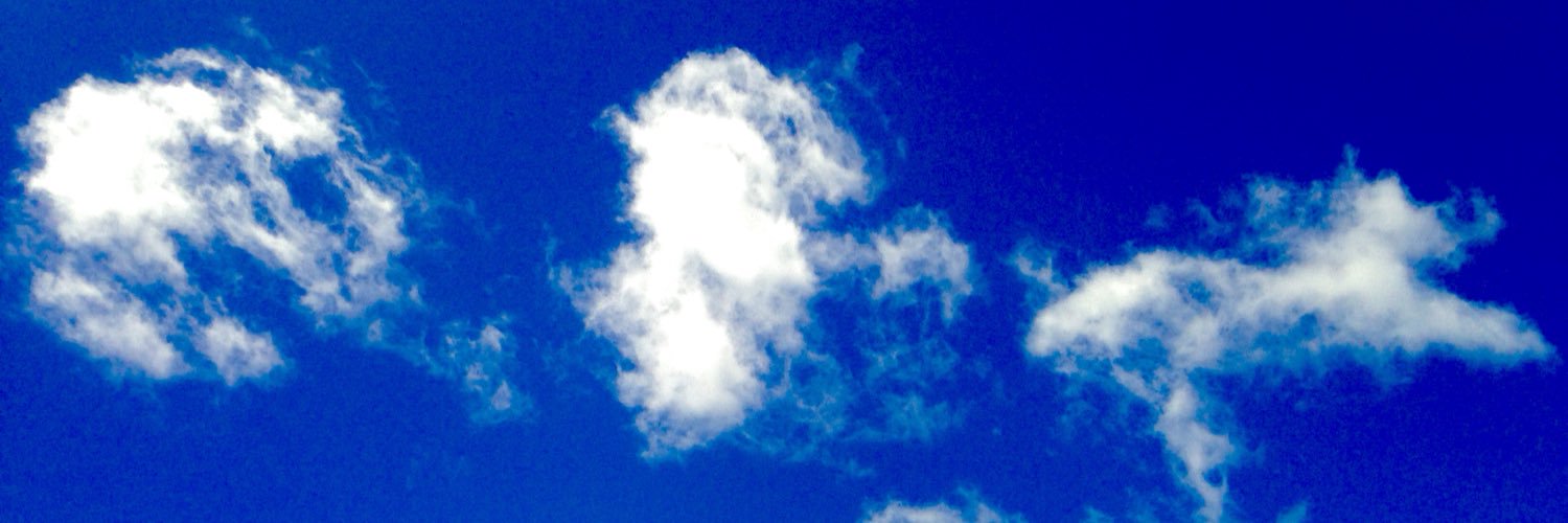 BrandonCanned's profile banner image