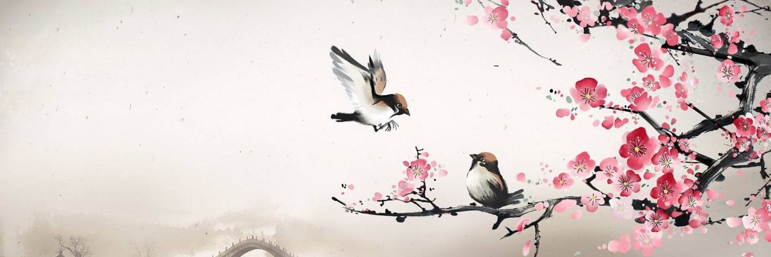 mia13165's profile banner image