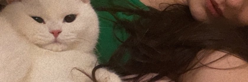thetatteddoc's profile banner image
