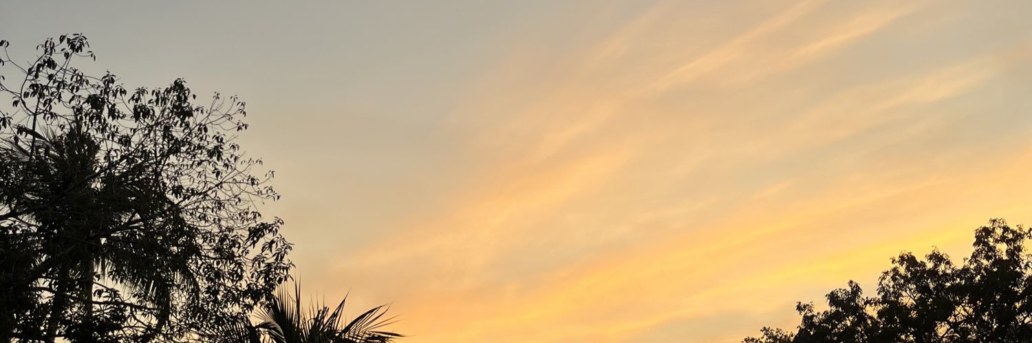 Cel 🍋🥂🎄🍉's banner