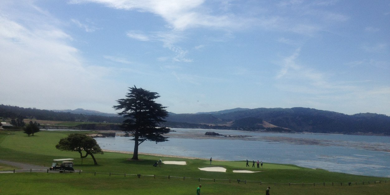 Ally Barrington banner