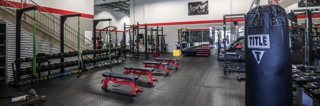 FitSpeed banner