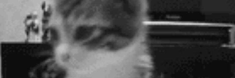 TheGarageBand's profile banner image