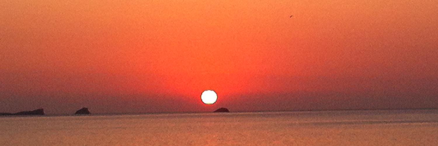 Carmen G Rebollar banner