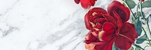 manugaleraramos's profile banner image