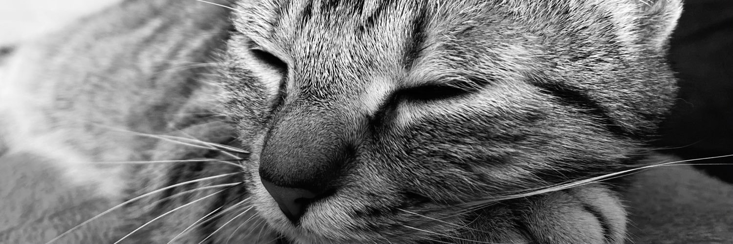 Amandine_Chr's profile banner image