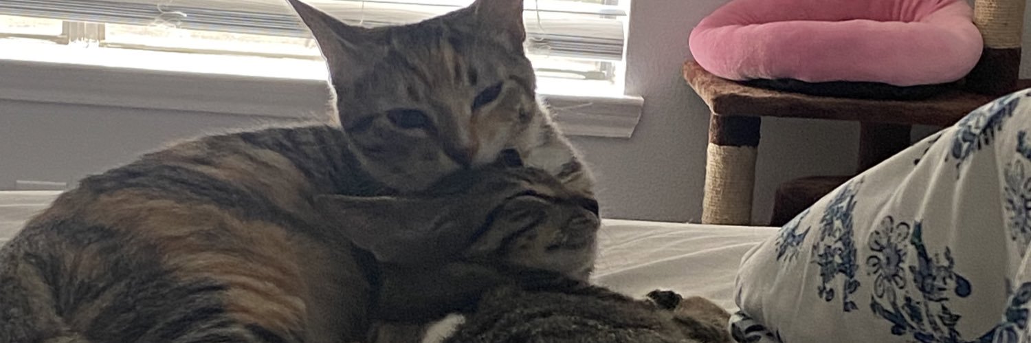 michellleale's profile banner image