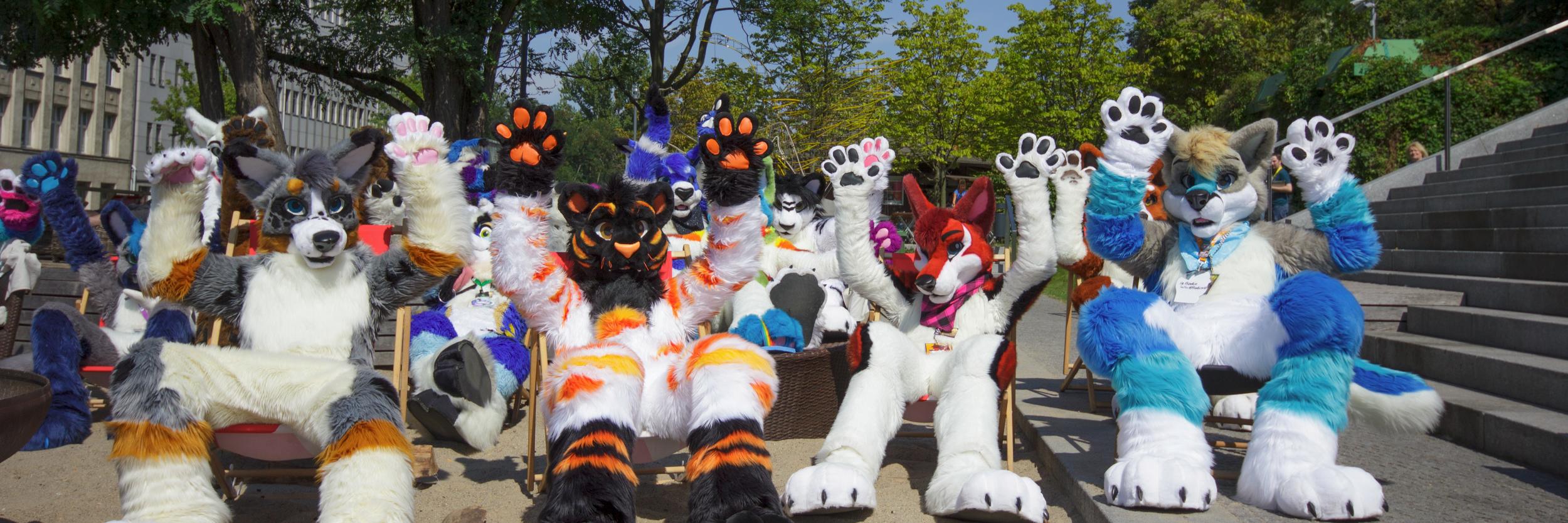 Flookie_Bailey banner