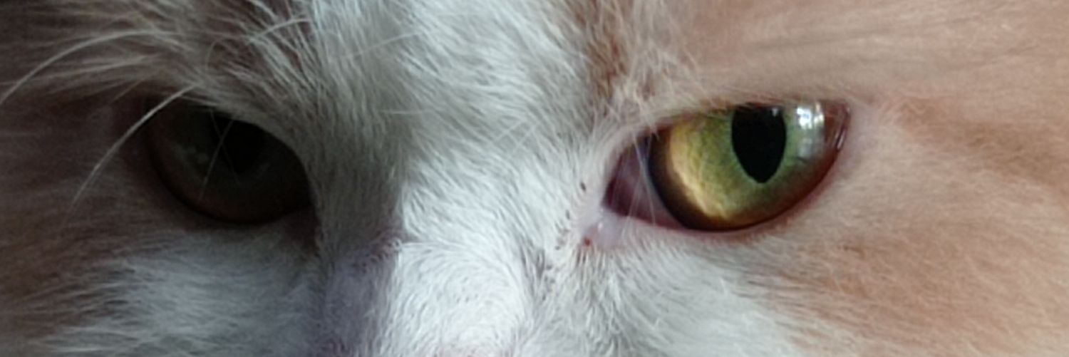 ErSynd's profile banner image