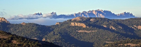 isoler3 Profile Banner