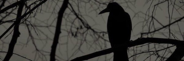 HailSxtn Profile Banner