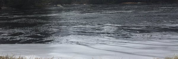 SarahDunsworth Profile Banner