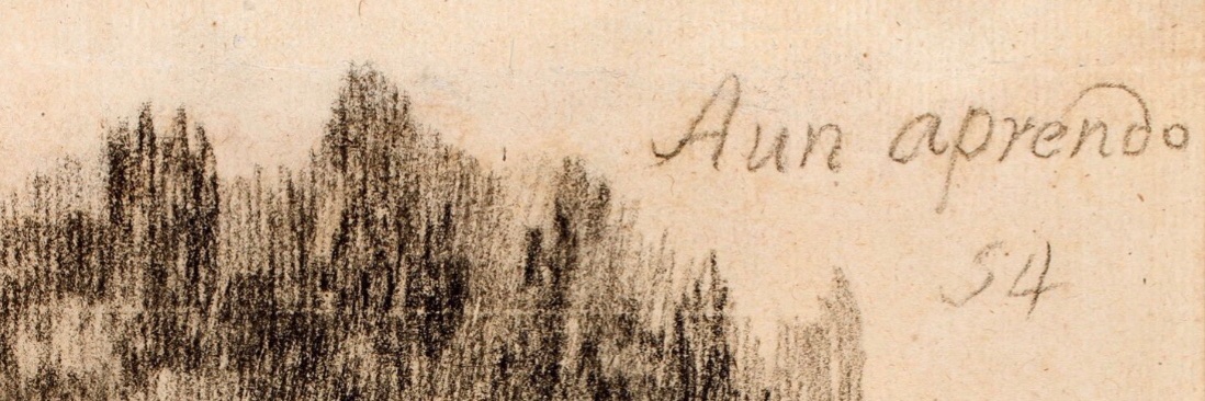 @cuader.bsky.social banner