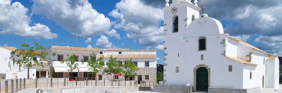 VicksB #RejoinEU 🇪🇺☘️🏉 💚@vicksrb.bsky.social banner