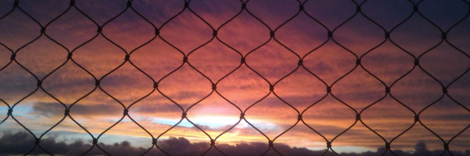 RanieliMPitol's profile banner image