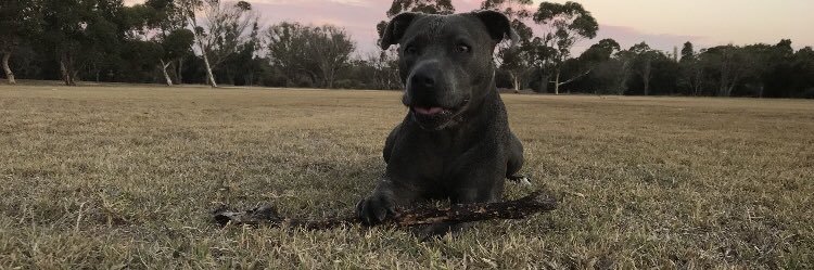 mattyayre3's profile banner image