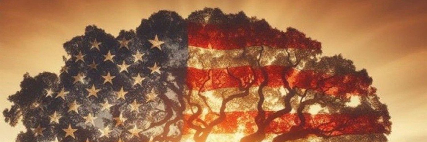 GreenPlox's profile banner image