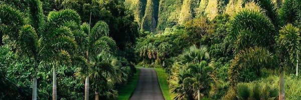 gambroce Profile Banner