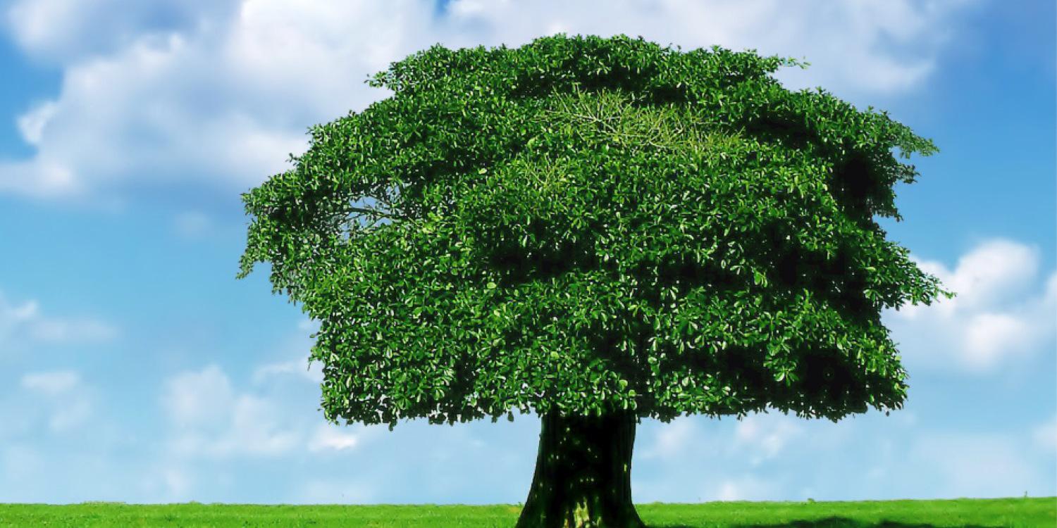 AlperTungaK's profile banner image