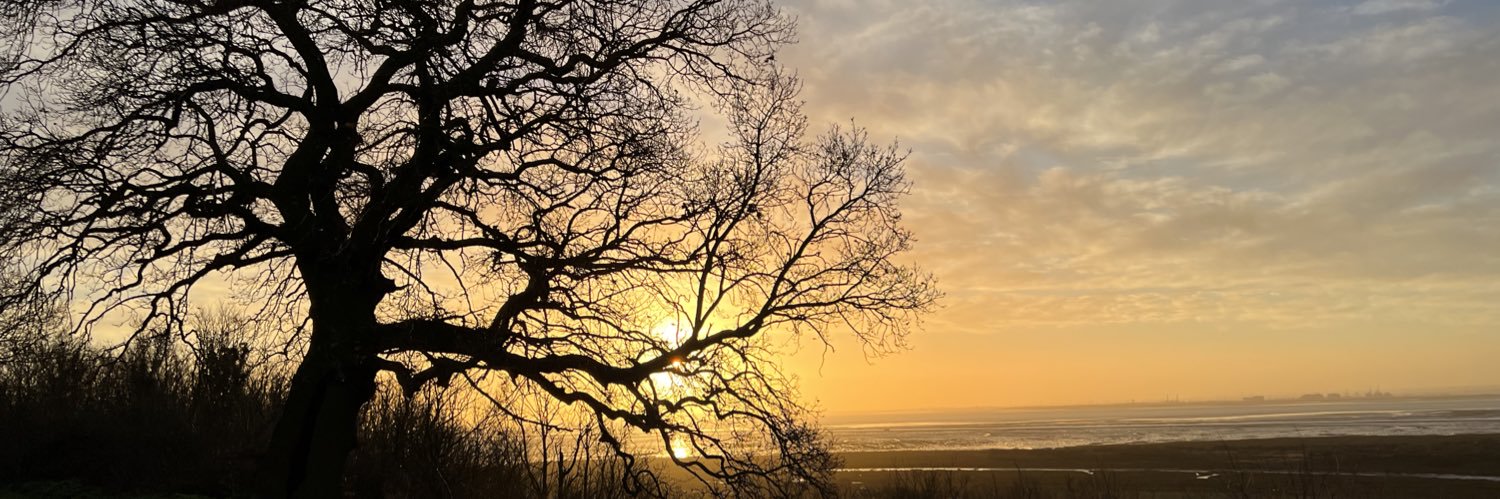 DixeyHefty's profile banner image